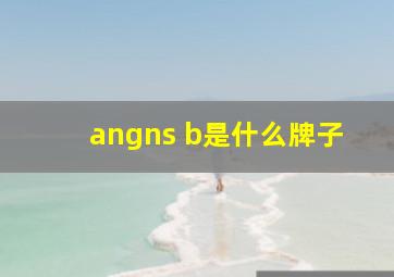 angns b是什么牌子